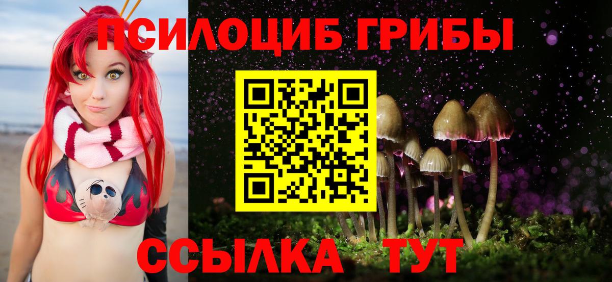 Псилоцибиновые грибы GOLDEN TEACHER  Вход с VPN  Псилоцибиновые грибы Magic Shrooms  Находка 