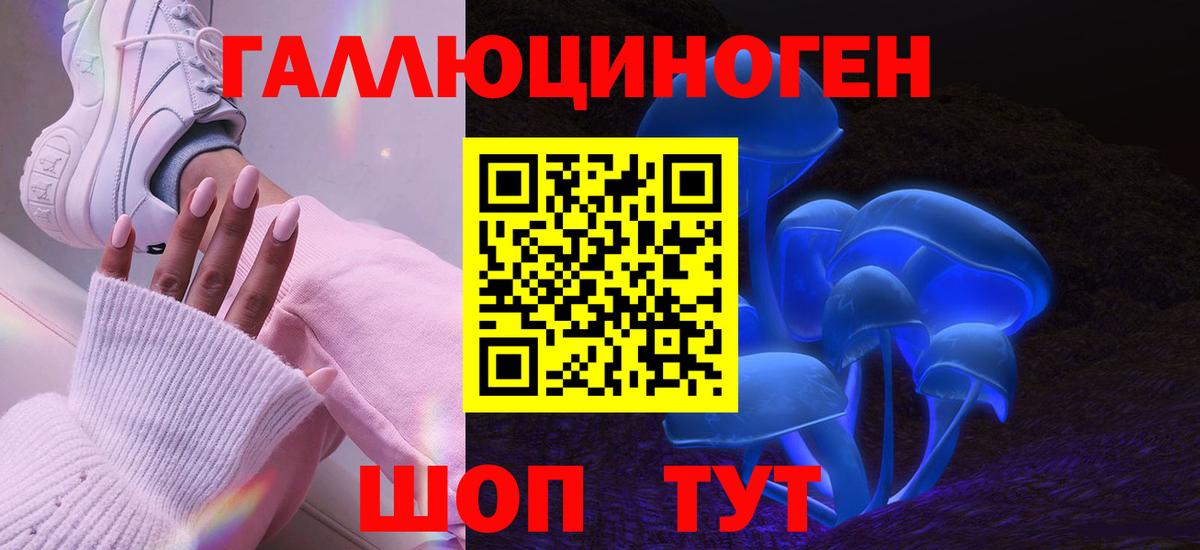 A-PVP Находка